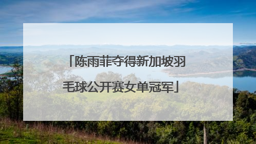陈雨菲夺得新加坡羽毛球公开赛女单冠军