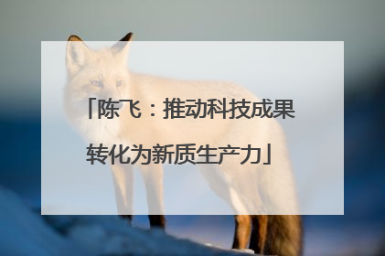陈飞：推动科技成果转化为新质生产力