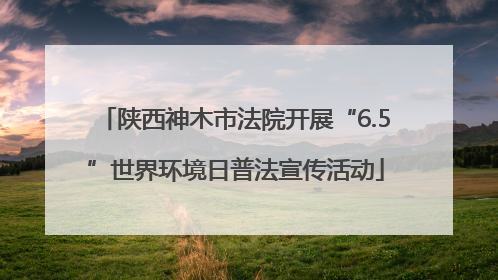 陕西神木市法院开展“6.5”世界环境日普法宣传活动