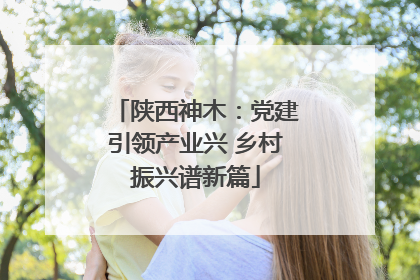 陕西神木：党建引领产业兴 乡村振兴谱新篇