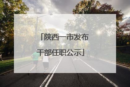 陕西一市发布干部任职公示