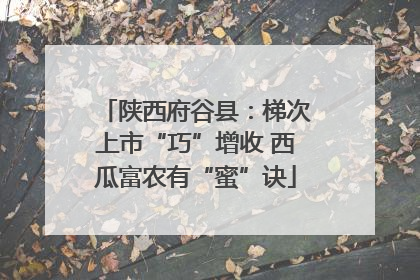 陕西府谷县：梯次上市“巧”增收 西瓜富农有“蜜”诀