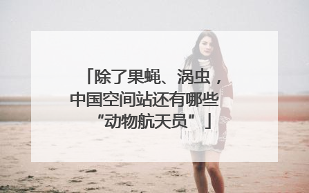 除了果蝇、涡虫，中国空间站还有哪些“动物航天员”
