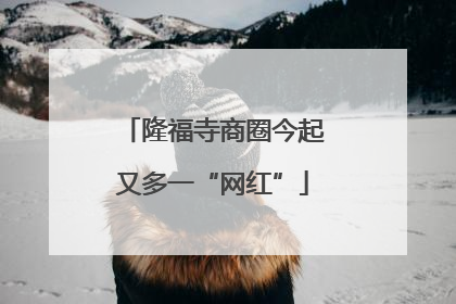 隆福寺商圈今起又多一“网红”