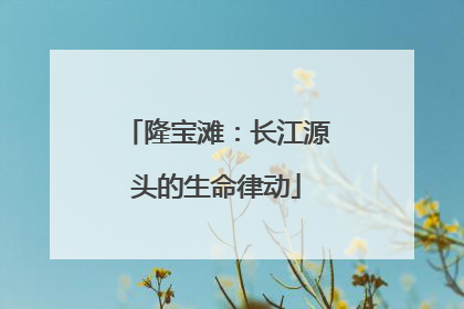 隆宝滩：长江源头的生命律动