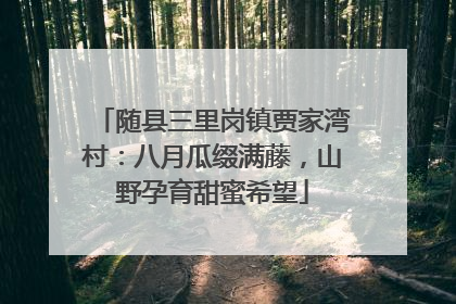 随县三里岗镇贾家湾村：八月瓜缀满藤，山野孕育甜蜜希望