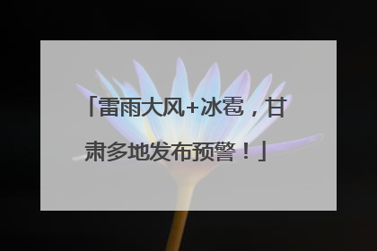 雷雨大风+冰雹，甘肃多地发布预警！