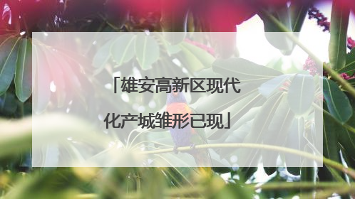 雄安高新区现代化产城雏形已现