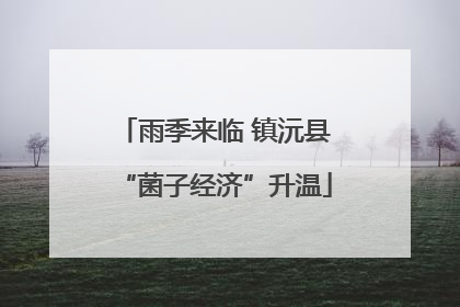 雨季来临 镇沅县“菌子经济”升温