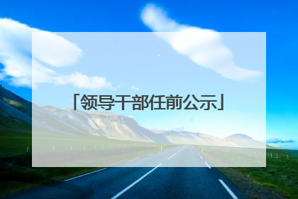 领导干部任前公示