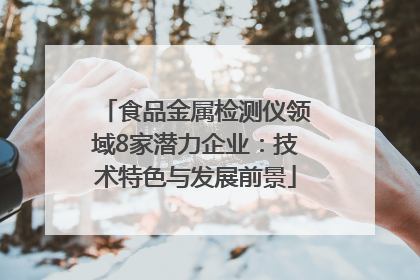 食品金属检测仪领域8家潜力企业：技术特色与发展前景