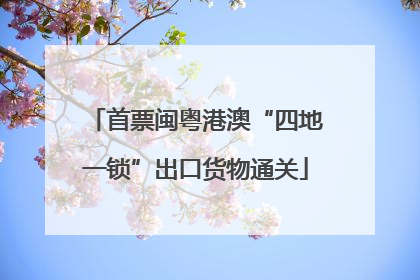 首票闽粤港澳“四地一锁”出口货物通关
