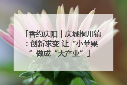 香约庆阳｜庆城桐川镇：创新求变 让“小苹果”做成“大产业”