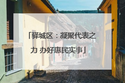 驿城区：凝聚代表之力 办好惠民实事
