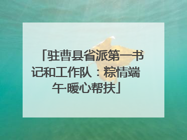 驻曹县省派第一书记和工作队：粽情端午·暖心帮扶