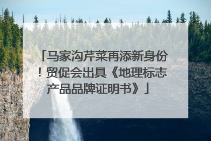 马家沟芹菜再添新身份！贸促会出具《地理标志产品品牌证明书》