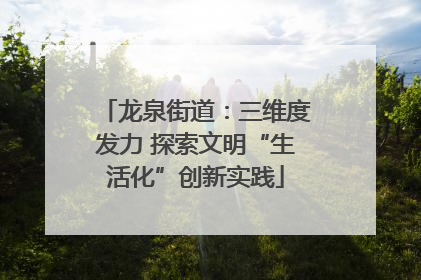 龙泉街道：三维度发力 探索文明“生活化”创新实践