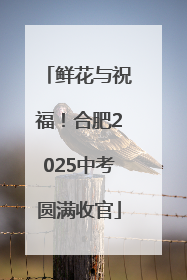 鲜花与祝福！合肥2025中考圆满收官