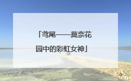 鸢尾——莫奈花园中的彩虹女神