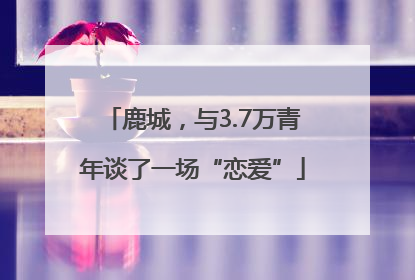 鹿城，与3.7万青年谈了一场“恋爱”