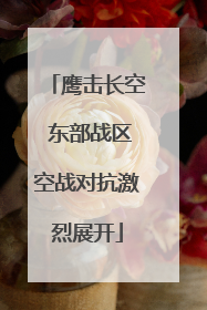鹰击长空 东部战区空战对抗激烈展开