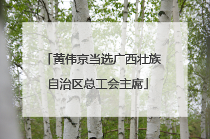 黄伟京当选广西壮族自治区总工会主席