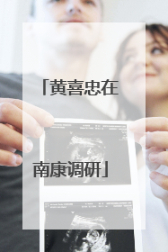 黄喜忠在南康调研