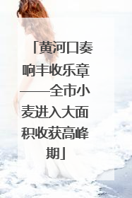 黄河口奏响丰收乐章——全市小麦进入大面积收获高峰期