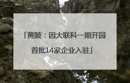 黄陂：因大联科一期开园 首批14家企业入驻