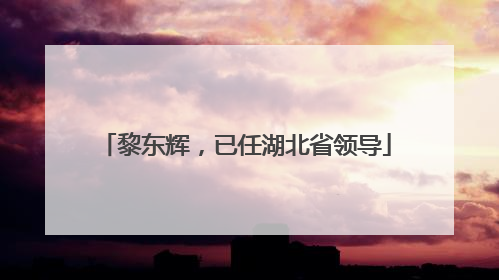 黎东辉，已任湖北省领导