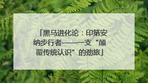黑马进化论：印第安纳步行者——一支“颠覆传统认识”的劲旅