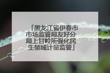 黑龙江省伊春市市场监管局友好分局上甘岭所强化民生领域计量监管