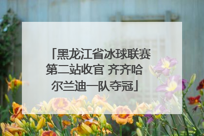 黑龙江省冰球联赛第二站收官 齐齐哈尔兰迪一队夺冠
