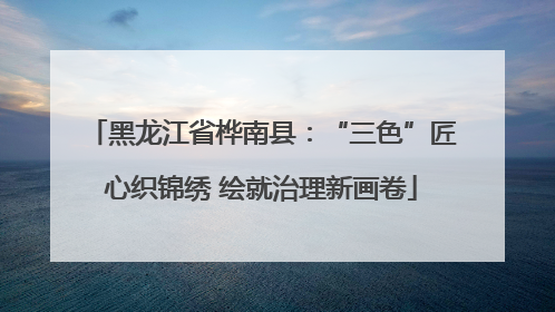黑龙江省桦南县：“三色”匠心织锦绣 绘就治理新画卷