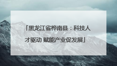 黑龙江省桦南县：科技人才驱动 赋能产业促发展