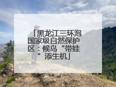 黑龙江三环泡国家级自然保护区：候鸟“带娃”添生机