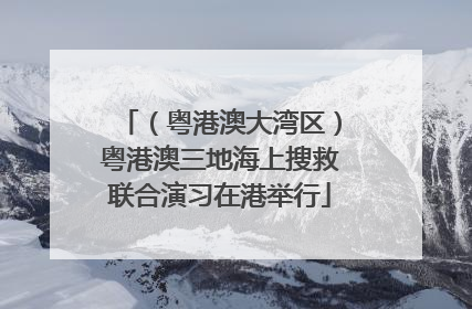 （粤港澳大湾区）粤港澳三地海上搜救联合演习在港举行