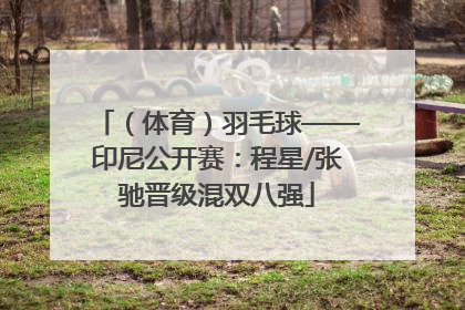 （体育）羽毛球——印尼公开赛：程星/张驰晋级混双八强