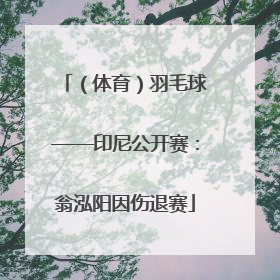 （体育）羽毛球——印尼公开赛：翁泓阳因伤退赛