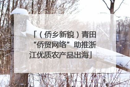 （侨乡新貌）青田“侨贸网络”助推浙江优质农产品出海