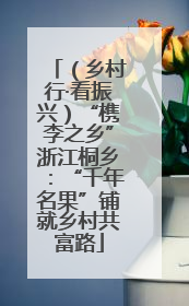 （乡村行·看振兴）“槜李之乡”浙江桐乡：“千年名果”铺就乡村共富路