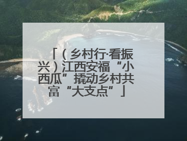 （乡村行·看振兴）江西安福“小西瓜”撬动乡村共富“大支点”