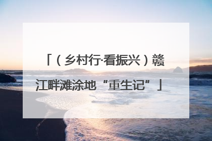 （乡村行·看振兴）赣江畔滩涂地“重生记”