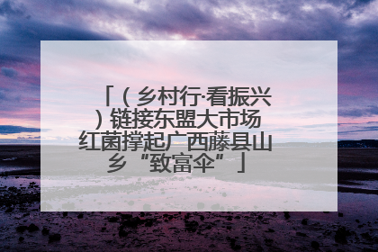 （乡村行·看振兴）链接东盟大市场 红菌撑起广西藤县山乡“致富伞”