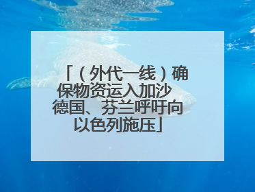 （外代一线）确保物资运入加沙 德国、芬兰呼吁向以色列施压