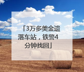 3万多美金遗落车站，铁警4分钟找回