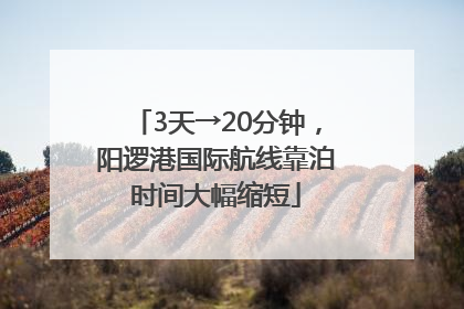 3天→20分钟，阳逻港国际航线靠泊时间大幅缩短