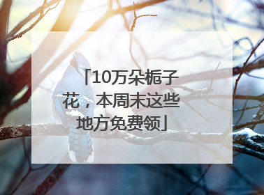 10万朵栀子花，本周末这些地方免费领