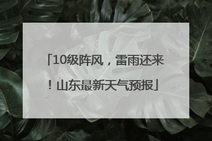 10级阵风，雷雨还来！山东最新天气预报