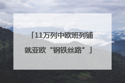11万列中欧班列铺就亚欧“钢铁丝路”